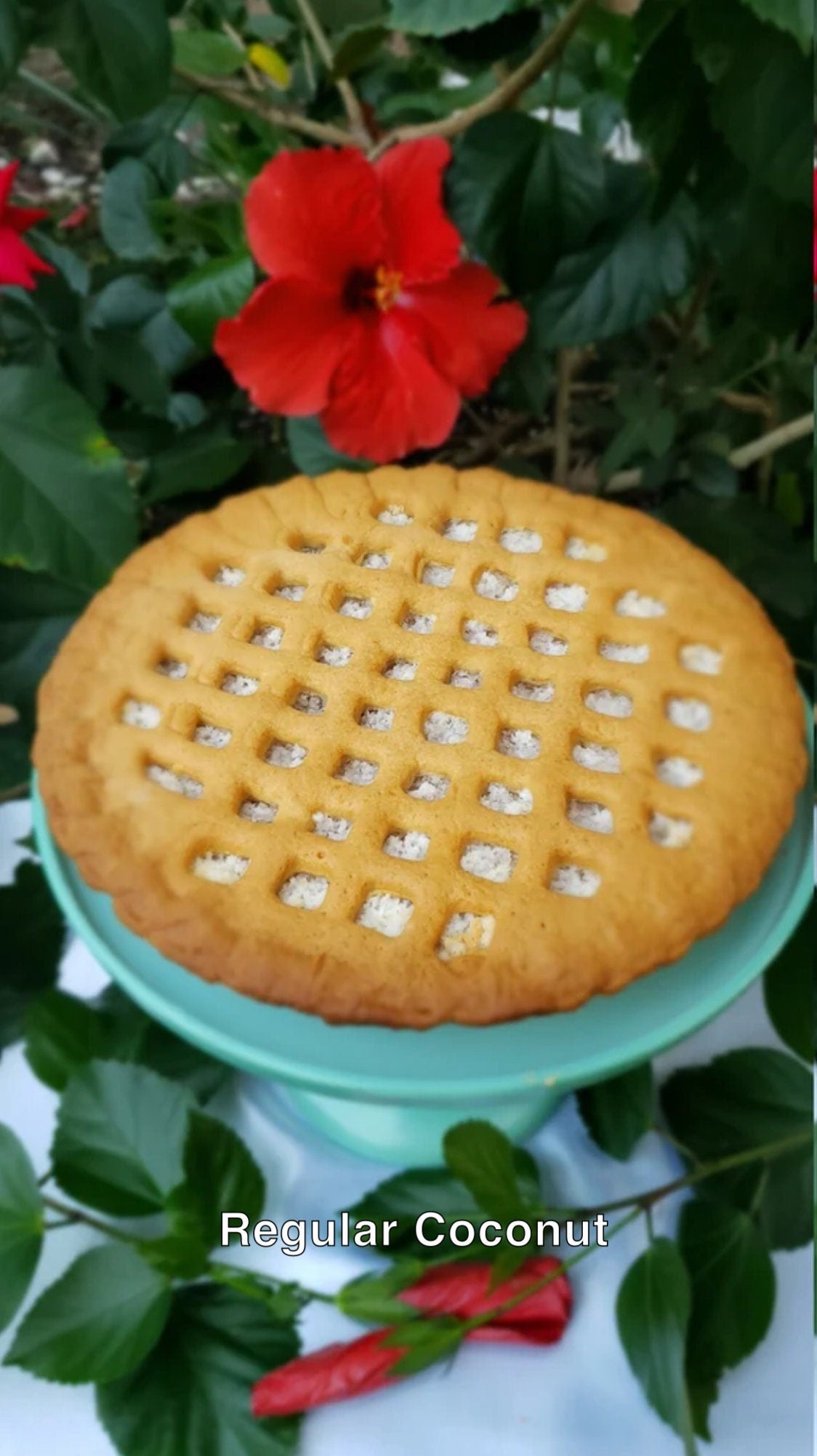 Virgin Islands Coconut Tart ( 10 inch)