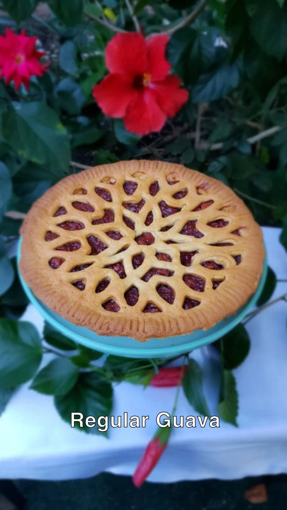 Virgin Islands Guava Tart (10 inch)