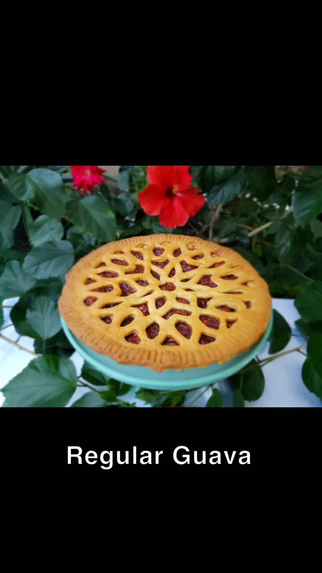 Virgin Islands Guava Tart  (10 inch)