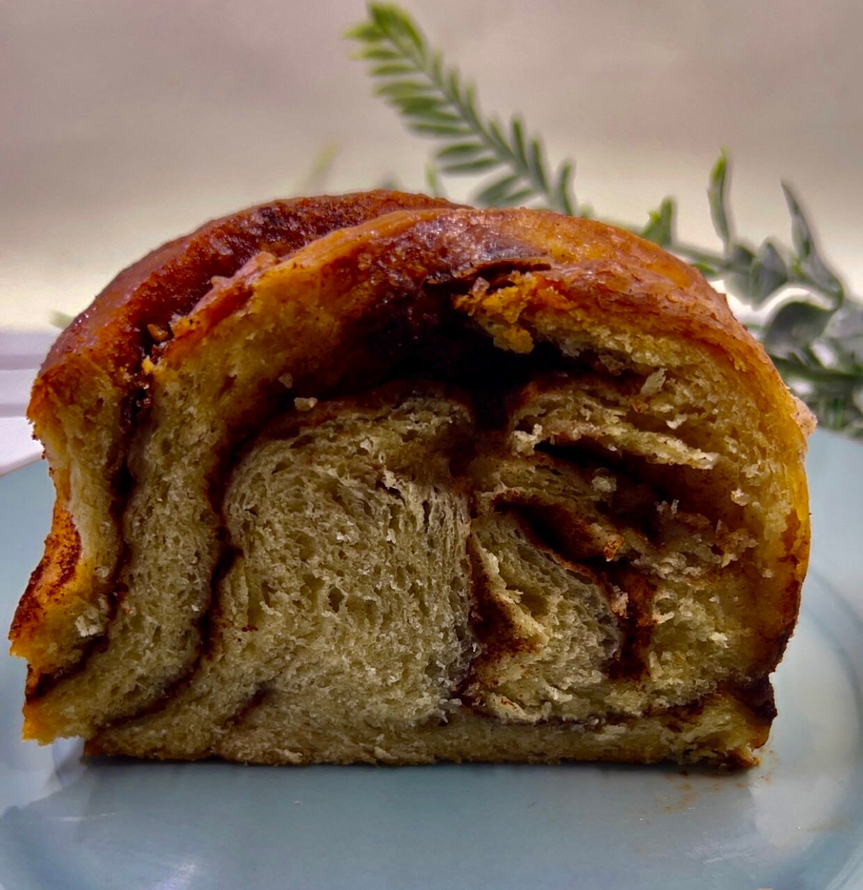 Vegan Cinnamon Babka