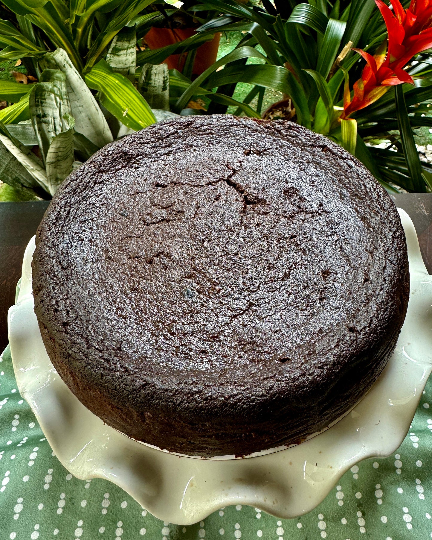 Caribbean Black Rum Cake 9 inch