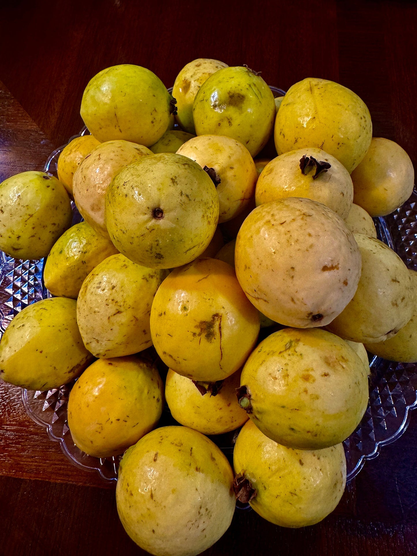 Virgin Islands Guava Tart  (10 inch)